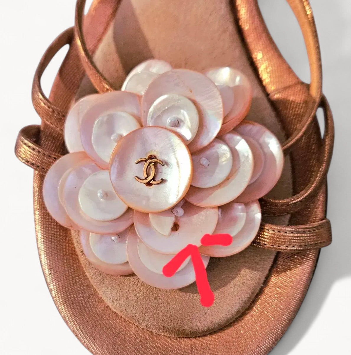 Chanel 2000’s by Karl Lagerfeld Peachy Shell Camellia Heels