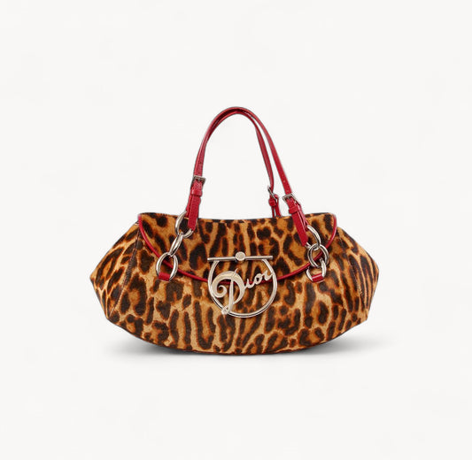 Dior Pony Hair Leopard Print Diva Shoulder Bag